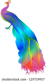 Colorful Peacock,Vector