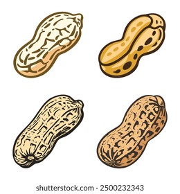 Colorful peanut Vector illustrations. Hand-drawn peanut seeds