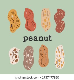 colorful peanuts design. vector background