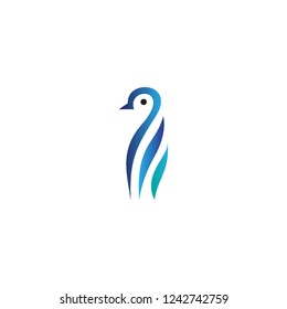 colorful penguin logo icon template