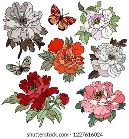 Colorful Peony Flowers. Vector illustration. Creative realistic drawing, tattoo. Vintage paintings, postcard, background, wallpaper. Interior decoration. Flowers gift for women