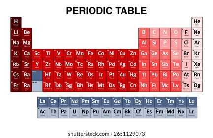 Tabela periódica colorida de elementos.tabela periódica vetor.tabela periódica ilustração
