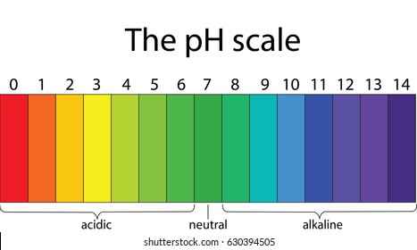 Blank Ph Chart