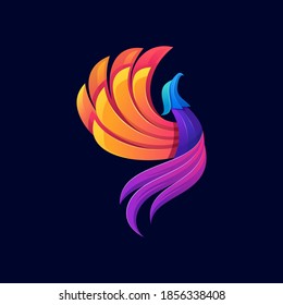 Colorful Phoenix Logo designs template vector illustration