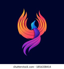 Colorful Phoenix Logo designs template vector illustration