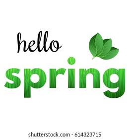 Colorful phrase Hello Spring from grass and with green leaves.