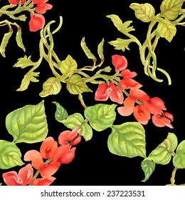 Colorful physalis floral Seamless pattern on black background vector illustration