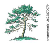 Colorful Pine Tree Vector Illustration on White Background – Vibrant Nature Design