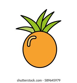 colorful pineapple fruit icon stock, vector illustration design