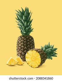 colorful pineapple Hand drawing sketch engraving illustration style