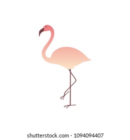 Colorful pink flamingo isolated on white background. Summer Vector Illustration. EPS10