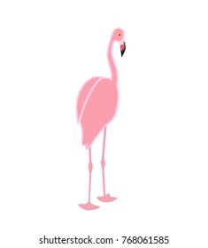 Colorful pink flamingo isolated on white background. Vector Illustration. EPS10