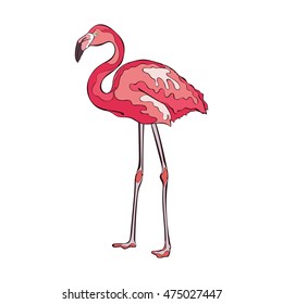 Colorful pink flamingo. Isolated vector object on white background.