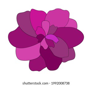 colorful pink flower on white background. Vector Illustration. EPS10