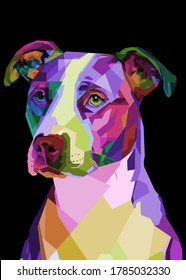 colorful pitbull terrier dog on pop art geometric .vector illustration