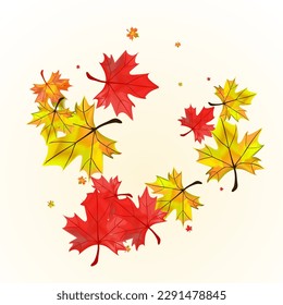 Colorful Plant Background BeigeVector. Leaf Decoration Design. Brown November Foliage. Collection Leaves Frame.