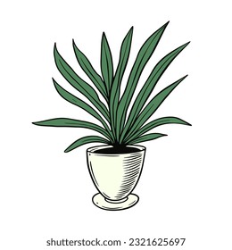 Colorful plant in a house pot. Sketch art vector illustration. Flat object isolated on white background.