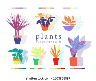 colorful plant illustration. botanical abstract pot plants vector in bright colors. 