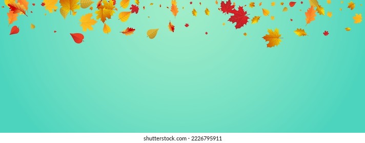 Colorful Plant Vector Blue Panoramic Background. Decor Floral Card. Autumnal Forest Leaf Texture. Realistic Illustration.