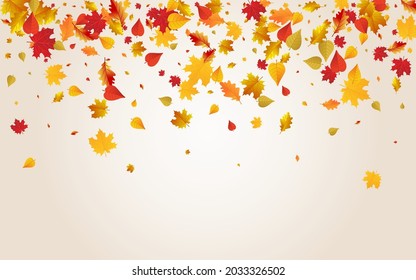 Colorful Plant Vector Transparent Background. Flying Foliage Texture. Orange Collection Leaves Design. Isolated Illustration.