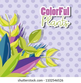 Colorful plants design