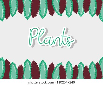 Colorful plants design