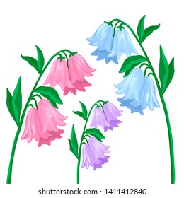 Colorful plants, summer flowers, branches for a bouquet. The bells bloomed. Vector isolated object on white background. Cartoon flat style illustration