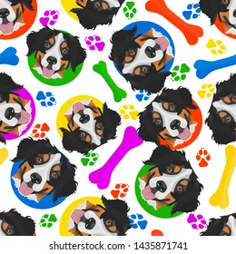 Colorful and playful Bernese Mountain Dog
