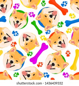 Colorful and playful Shiba Inu 
