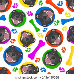 Colorful and playful Staffordshire Bull Terrier

