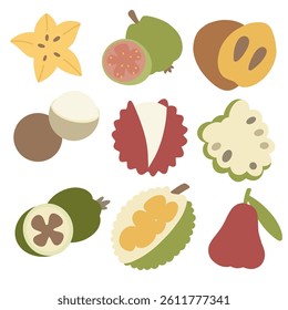 A colorful and playful vector illustration featuring nine distinct tropical and exotic fruits.