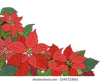 Navidades coloridas de Poinsettia y esquina, borde, superposición aislada sobre fondo blanco. Anuncio con flores rojas y hojas verdes. Ilustración vectorial plana botánica moderna.	