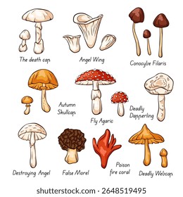 Colorful poisonous mushroom illustration set including fly agaric, destroying angel and more drawn in a cartoon style on white background. Perfect for education or warning design.
