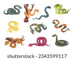 Colorful poisonous snakes. Cartoon suffocating reptiles. Creeping animals. Danger wildlife. Cobra and python. Venomous viper. Terrarium serpents. Predator on branch