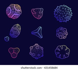 Colorful pollen spores set. Set of grains under microscopy. Allergy concept. False coloured scanning.
