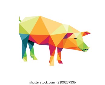 Colorful Polygon low poly of pig. abstract Illustration of pig animal. pig full color logo