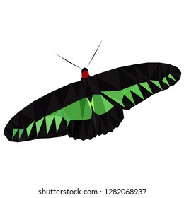 Colorful polygonal illustration of an green and black insect butterfly