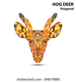 Colorful polygonal illustration of Hog Deer