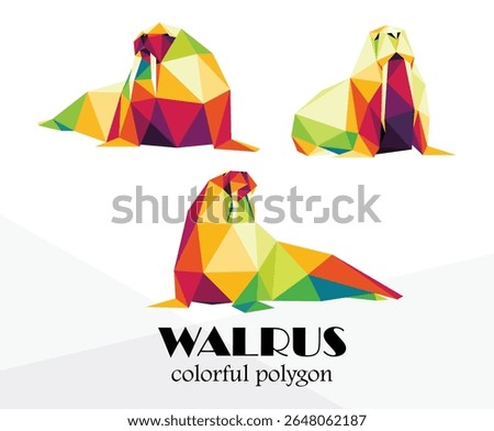 Colorful Polygonal low Poly set of walrus animal. Colorful Walrus Abstract vector collection. Colorful illustration vector of walrus for kids animal book