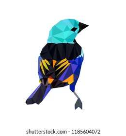 Colorful polygonal style design of little tropical bird in blue and turquoise colors