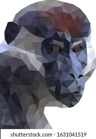 Colorful polygonal style design of monkey