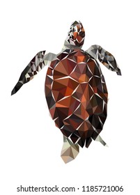 Colorful polygonal style design of tropical spotty turtle