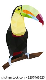 Colorful polygonal style design of tropical tucan bird with yellow neck