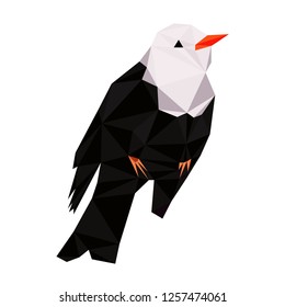 Colorful polygonal style design of tropical black and white bird with pink neck
