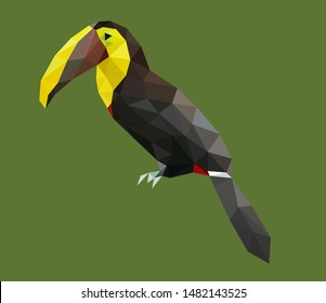 Colorful polygonal style design of tropical tucan bird