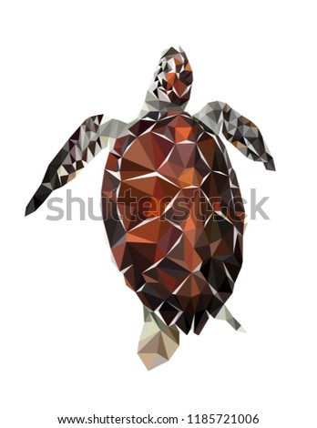 Colorful polygonal style design of tropical spotty turtle