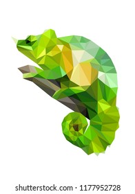 Colorful polygonal style design of wild reptile chameleon