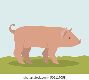 Colorful pork animal design