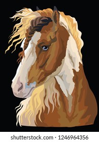 Colorful portrait of Pinto horse. Horse head in profile isolated vector hand drawing illustration on black background