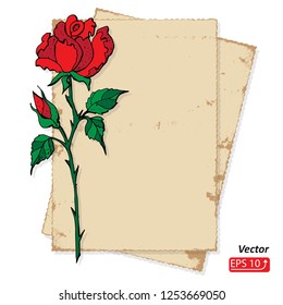 Colorful  Postal card, blank sheet of old paper, flower red rose,  isolated on white   background vector  illustration.
